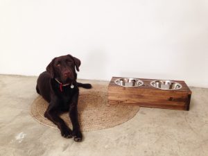 comedera perro personalizada rojosillon