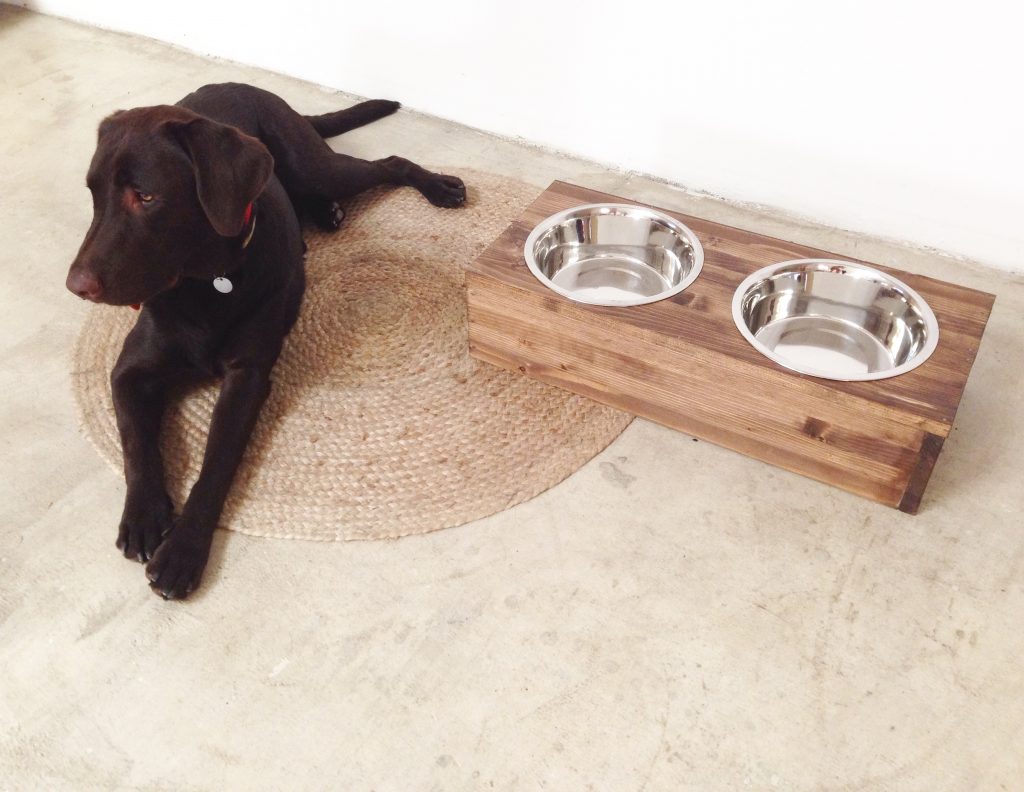 comedera perro personalizada rojosillon
