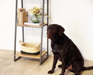 rojosillon_ estanteria hierro y madera escalera