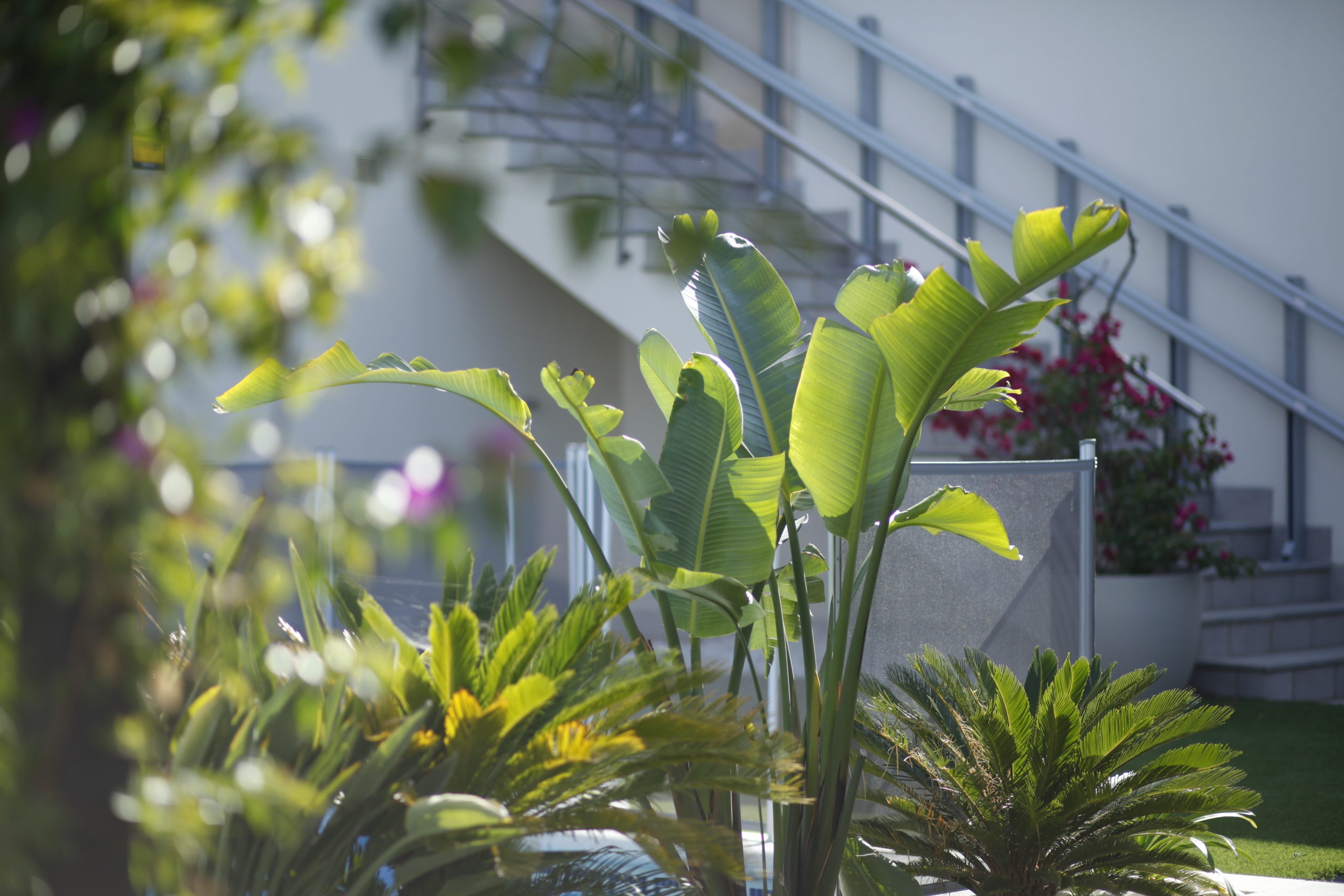reforma interiorismo jardin